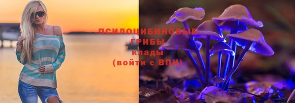 крисы Лиски