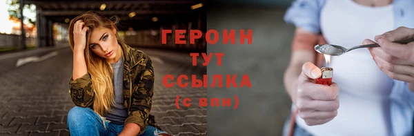 твердый Ладушкин