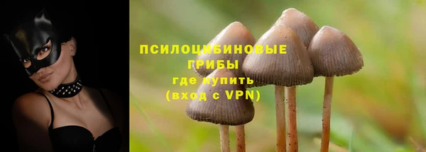 apvp Лихославль
