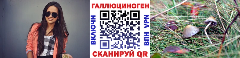 Галлюциногенные грибы Cubensis  Лобня 