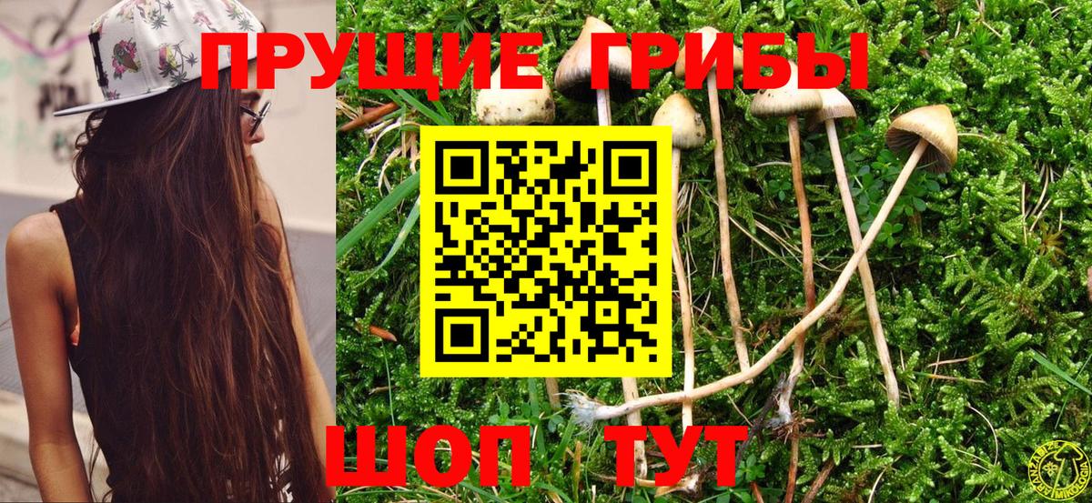 Галлюциногенные грибы Cubensis  Вход с VPN  Псилоцибиновые грибы Cubensis  Лобня 